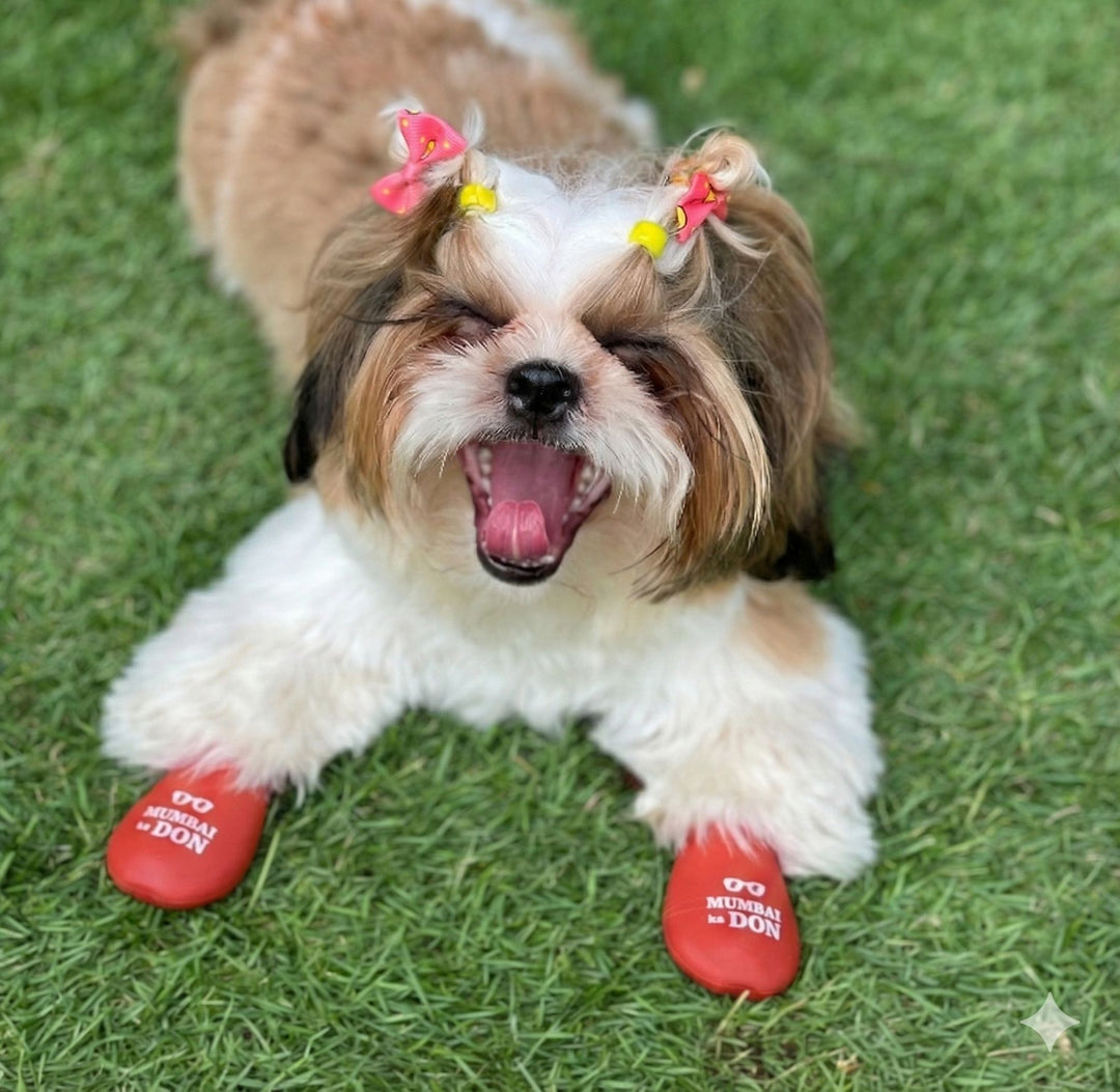 Zoof Boots - Mumbai Ka Don