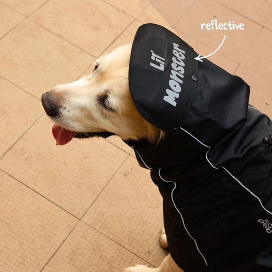 Zoof Dog Raincoat - Lil Monster