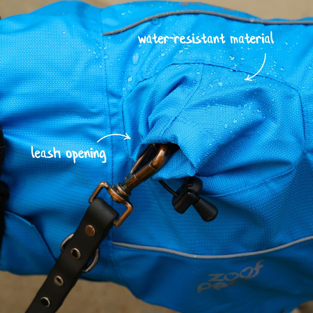 Zoof Dog Raincoat - Baarish Bae
