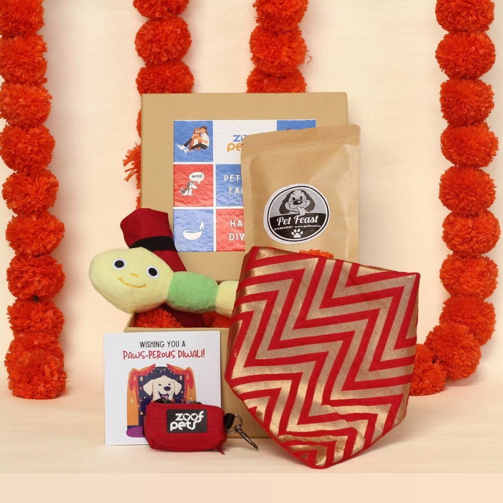 Festival gift box for pets