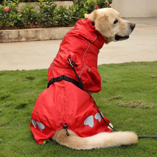 Zoof Dog Reversible Raincoat - Double Trouble