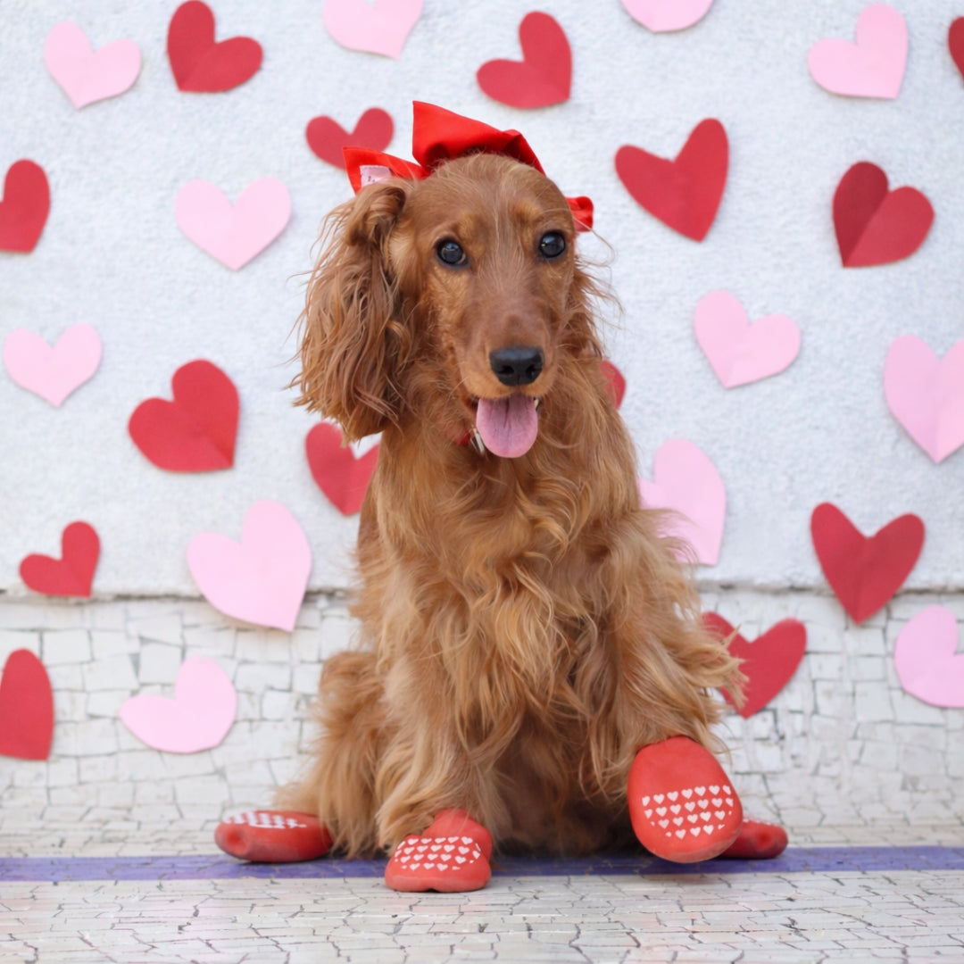 Zoof Dog Boots | Waterproof Dog Rain Boots By Zoof Pets