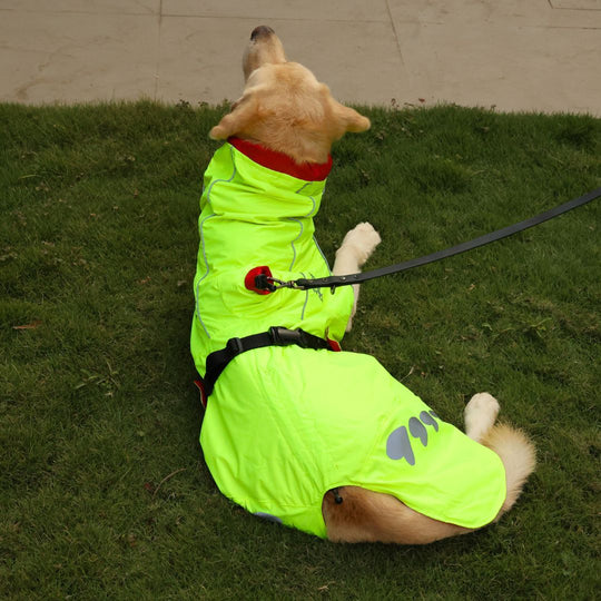 Zoof Dog Reversible Raincoat - Double Trouble