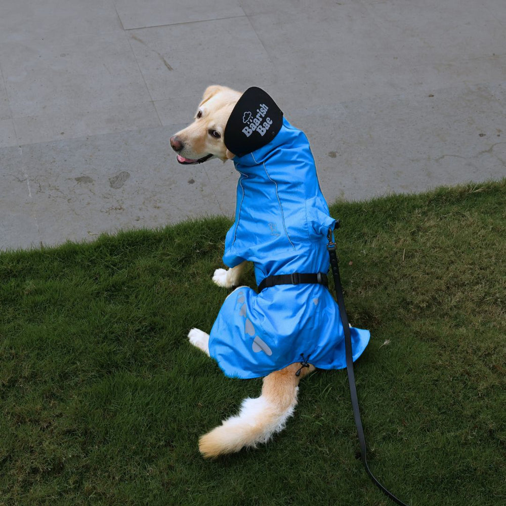 Zoof Dog Raincoat - Baarish Bae