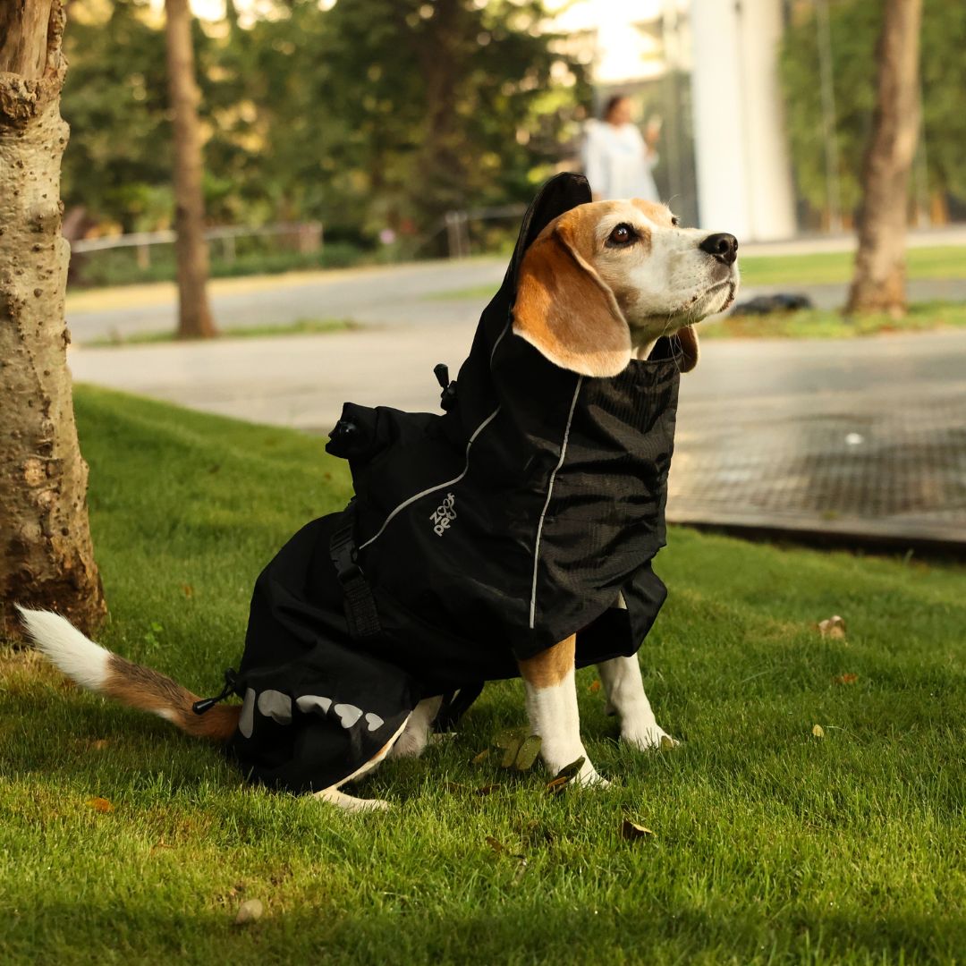 Zoof Dog Raincoat - Lil Monster