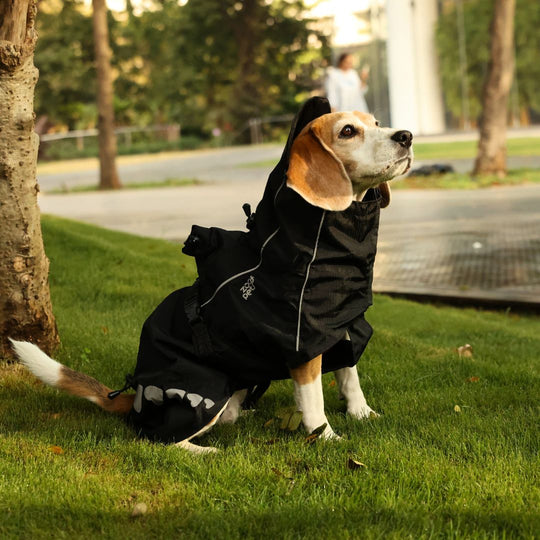 Zoof Dog Raincoat - Lil Monster
