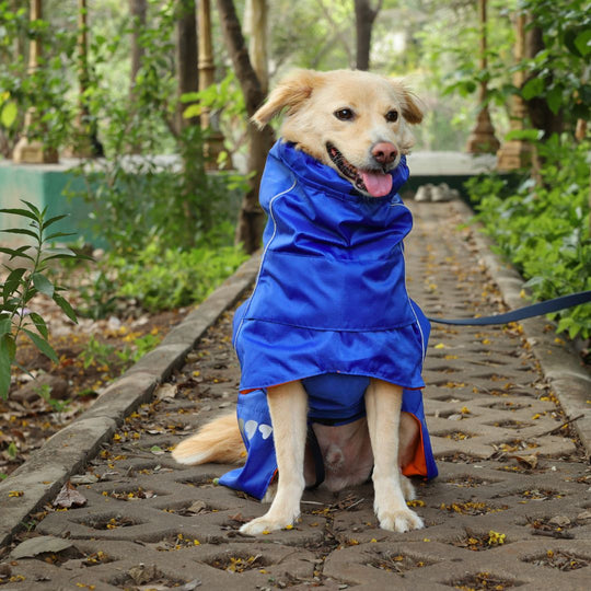 Zoof Dog Reversible Raincoat - Firecracker