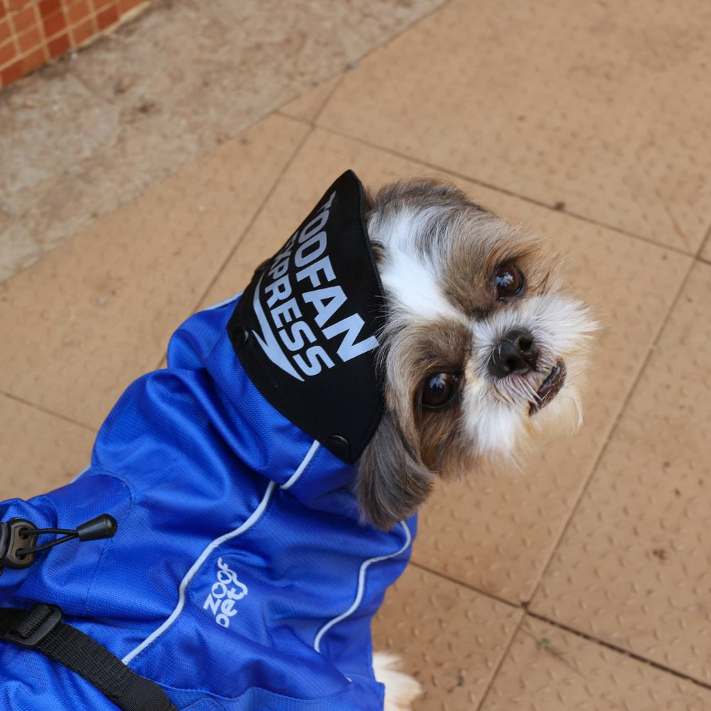 Zoof Dog Raincoat - Toofan Express