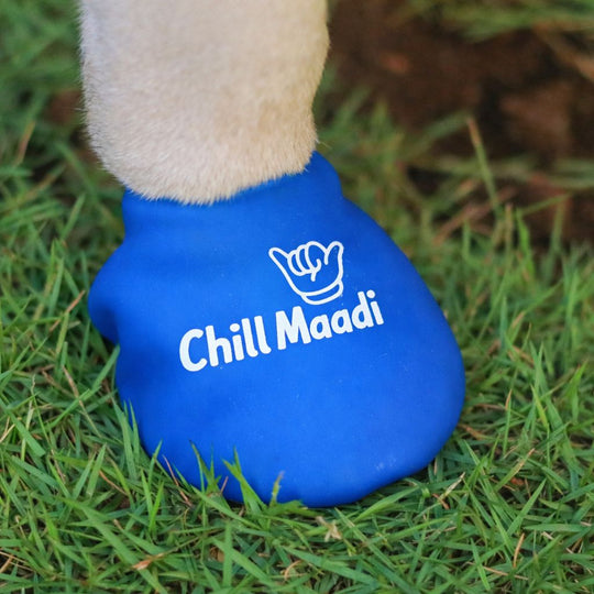 Zoof Boots - Chill Maadi