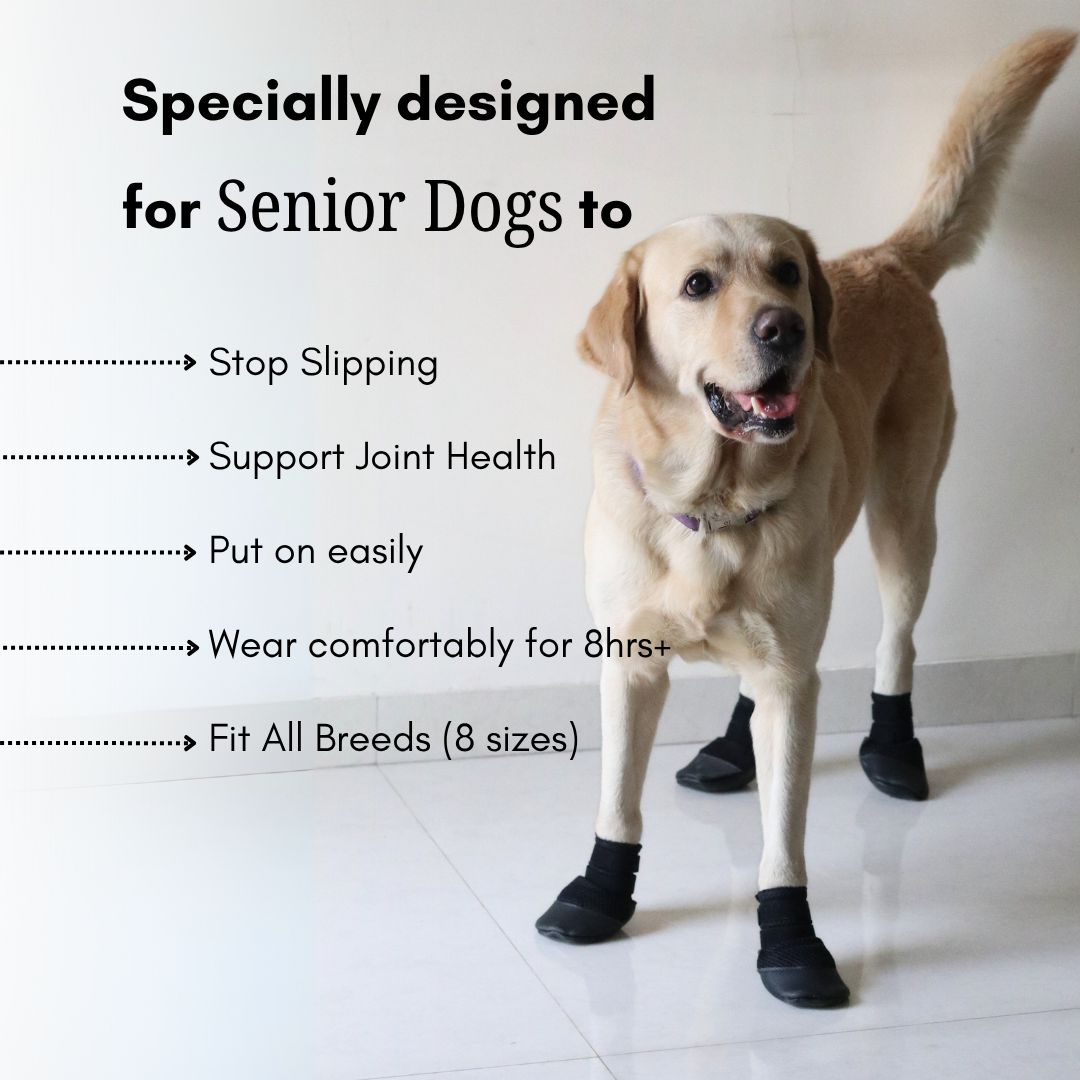 Zoof Grips - Anti Slip Indoor Shoes for Senior Dogs