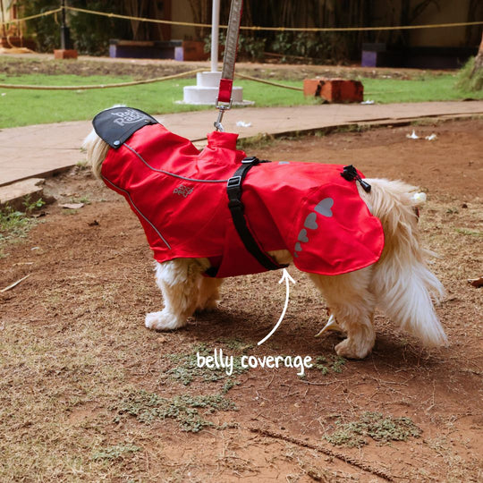 Zoof Dog Raincoat - Red Rascal