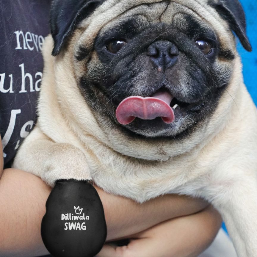 Zoof Boots - Dilliwala Swag