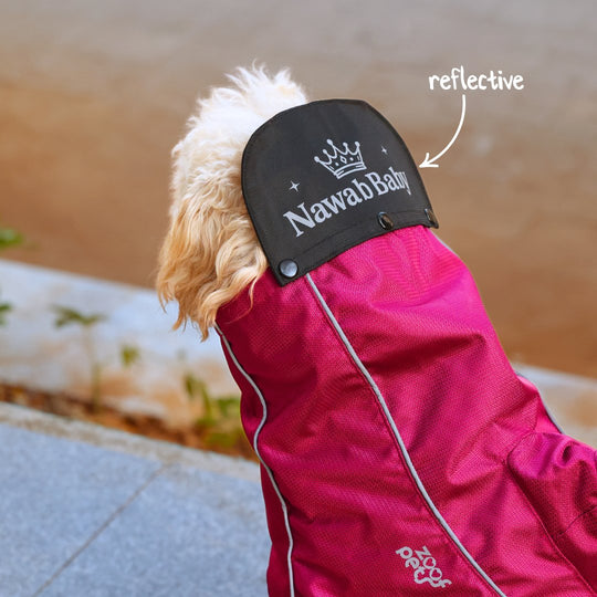 Zoof Dog Raincoat - Nawab Baby