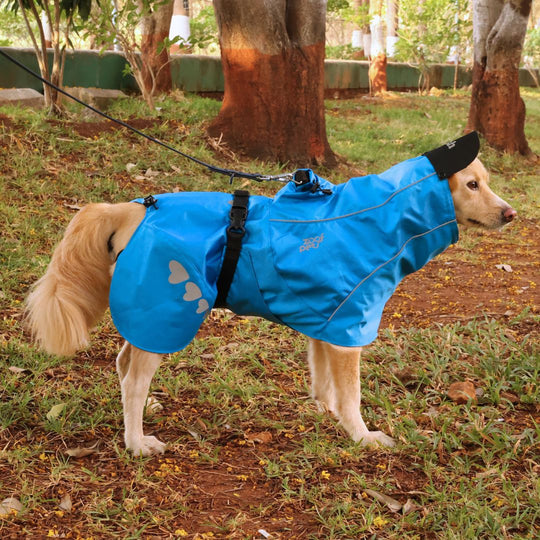 Zoof Dog Raincoat - Baarish Bae