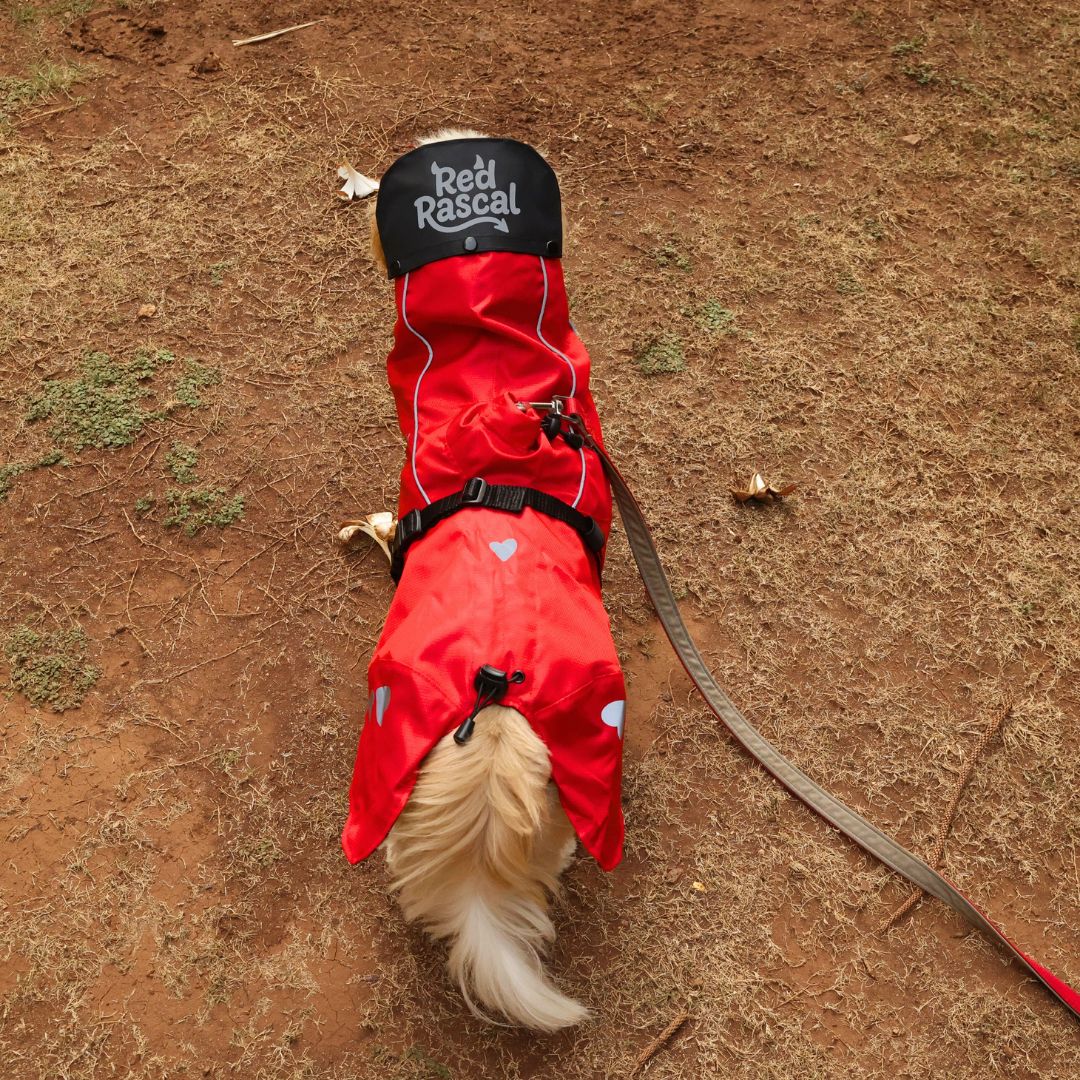 Zoof Dog Raincoat - Red Rascal