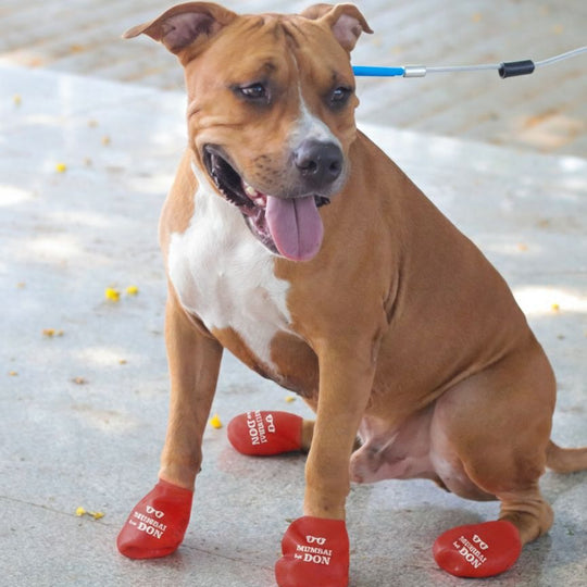 Zoof Boots - Mumbai Ka Don