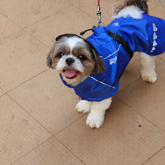 Zoof Dog Raincoat - Toofan Express