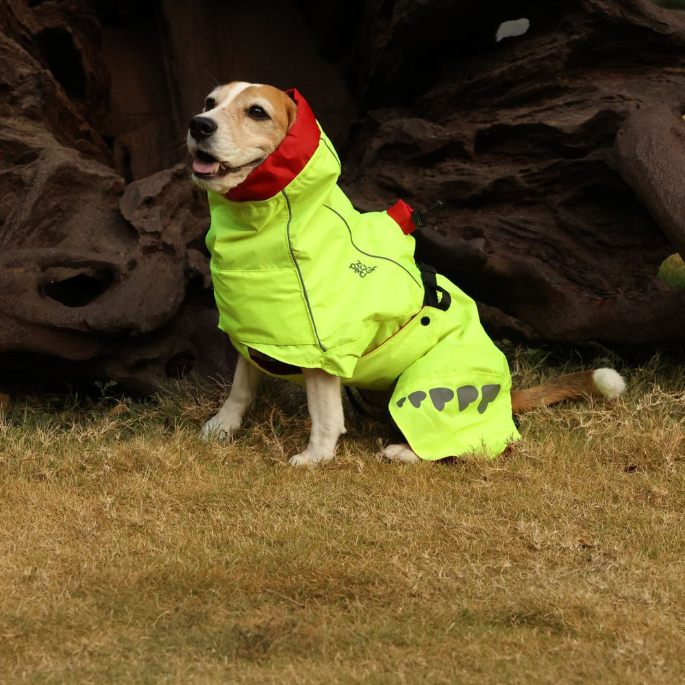 Zoof Dog Reversible Raincoat - Double Trouble