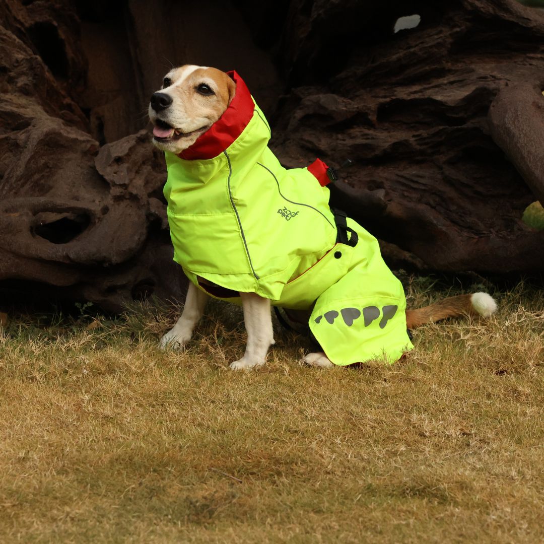 Zoof Dog Reversible Raincoat - Double Trouble