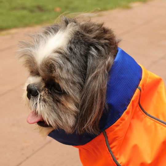 Zoof Dog Reversible Raincoat - Firecracker
