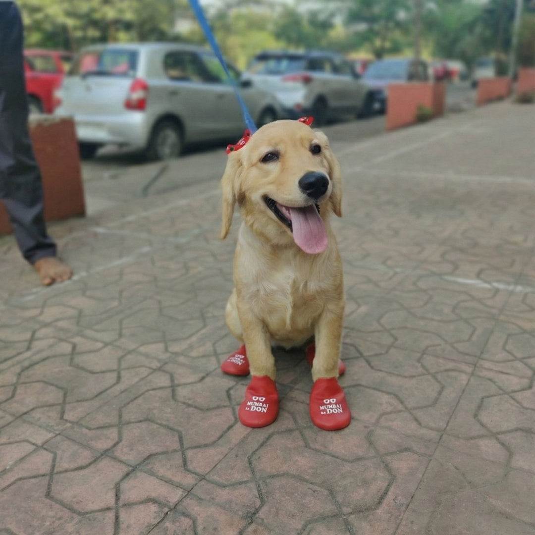 Zoof Boots - Mumbai Ka Don