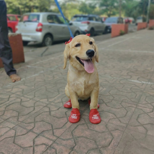 Zoof Boots - Mumbai Ka Don