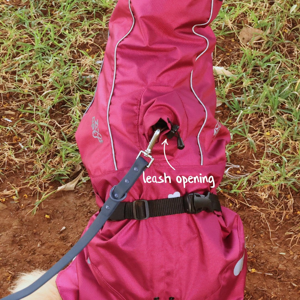 Zoof Dog Raincoat - Nawab Baby