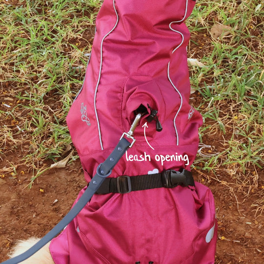 Zoof Dog Raincoat - Nawab Baby