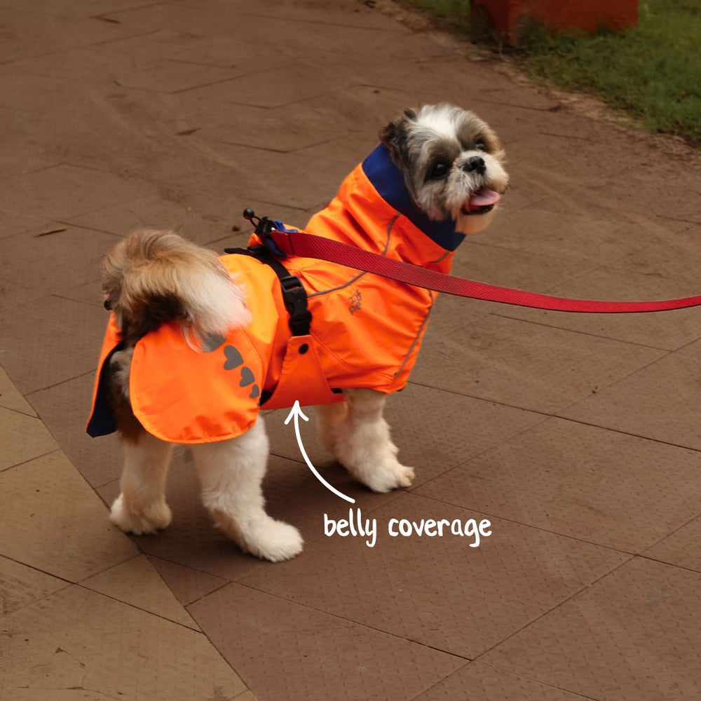 Zoof Dog Reversible Raincoat - Firecracker