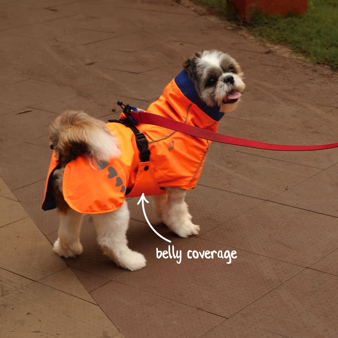 Zoof Dog Reversible Raincoat - Firecracker