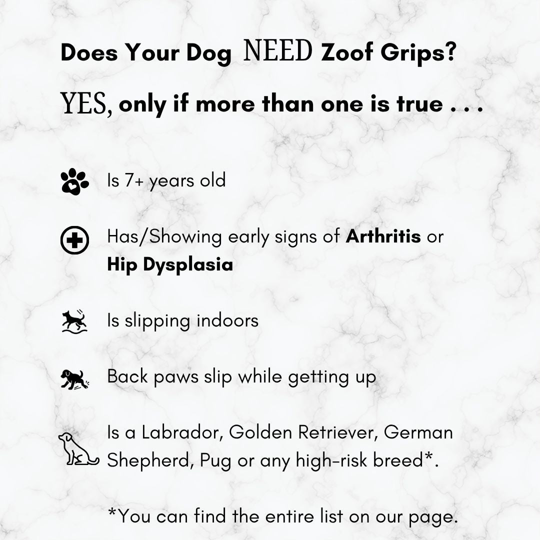 Zoof Grips - Anti Slip Indoor Shoes for Senior Dogs
