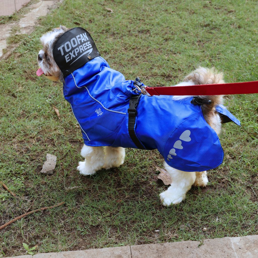 Zoof Dog Raincoat - Toofan Express
