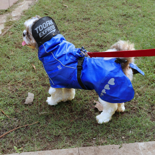 Zoof Dog Raincoat - Toofan Express