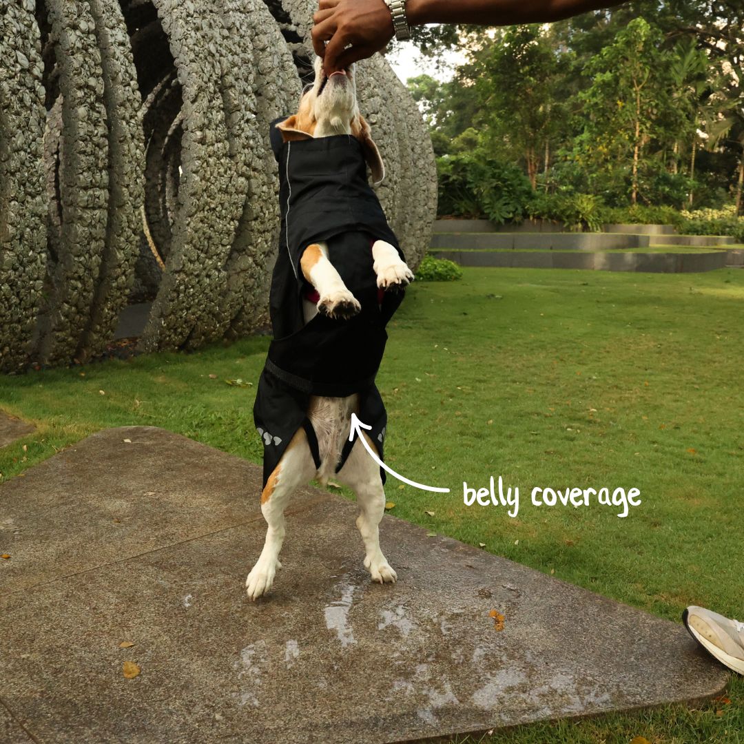 Zoof Dog Raincoat - Lil Monster