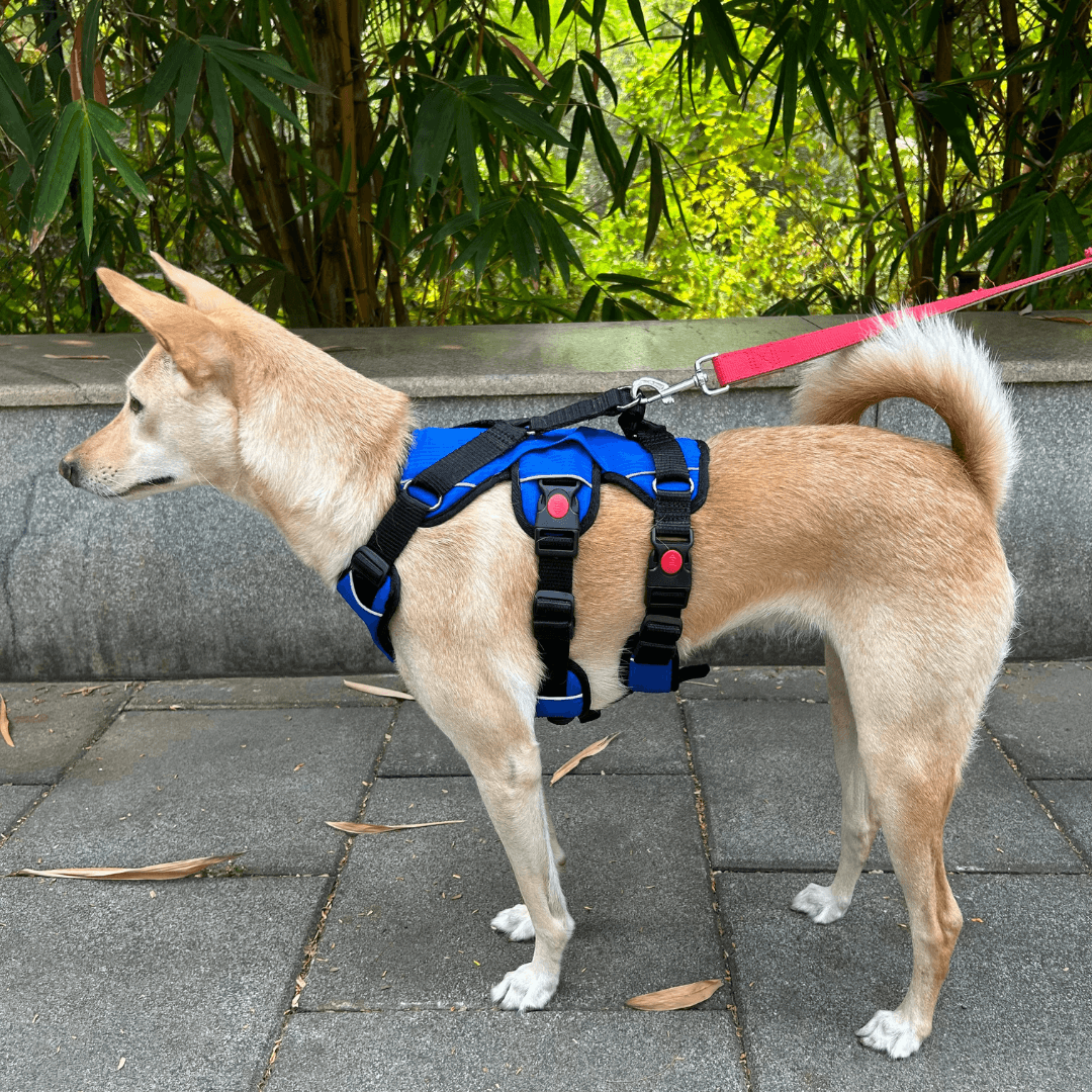 MUMUPET Service Dog Harness, No Pull Easy On and Off India