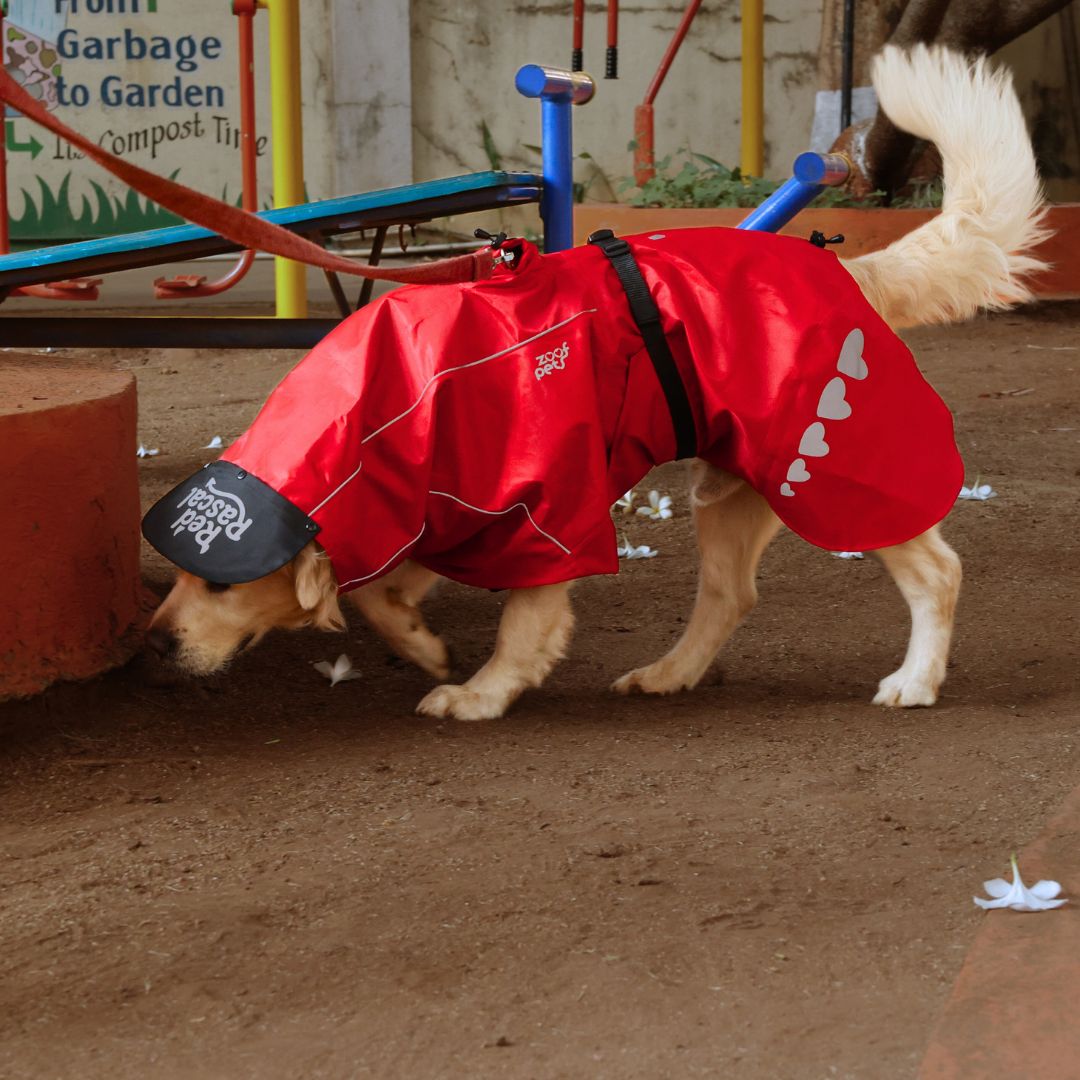 Zoof Dog Raincoat - Red Rascal