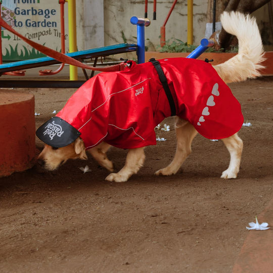 Zoof Dog Raincoat - Red Rascal