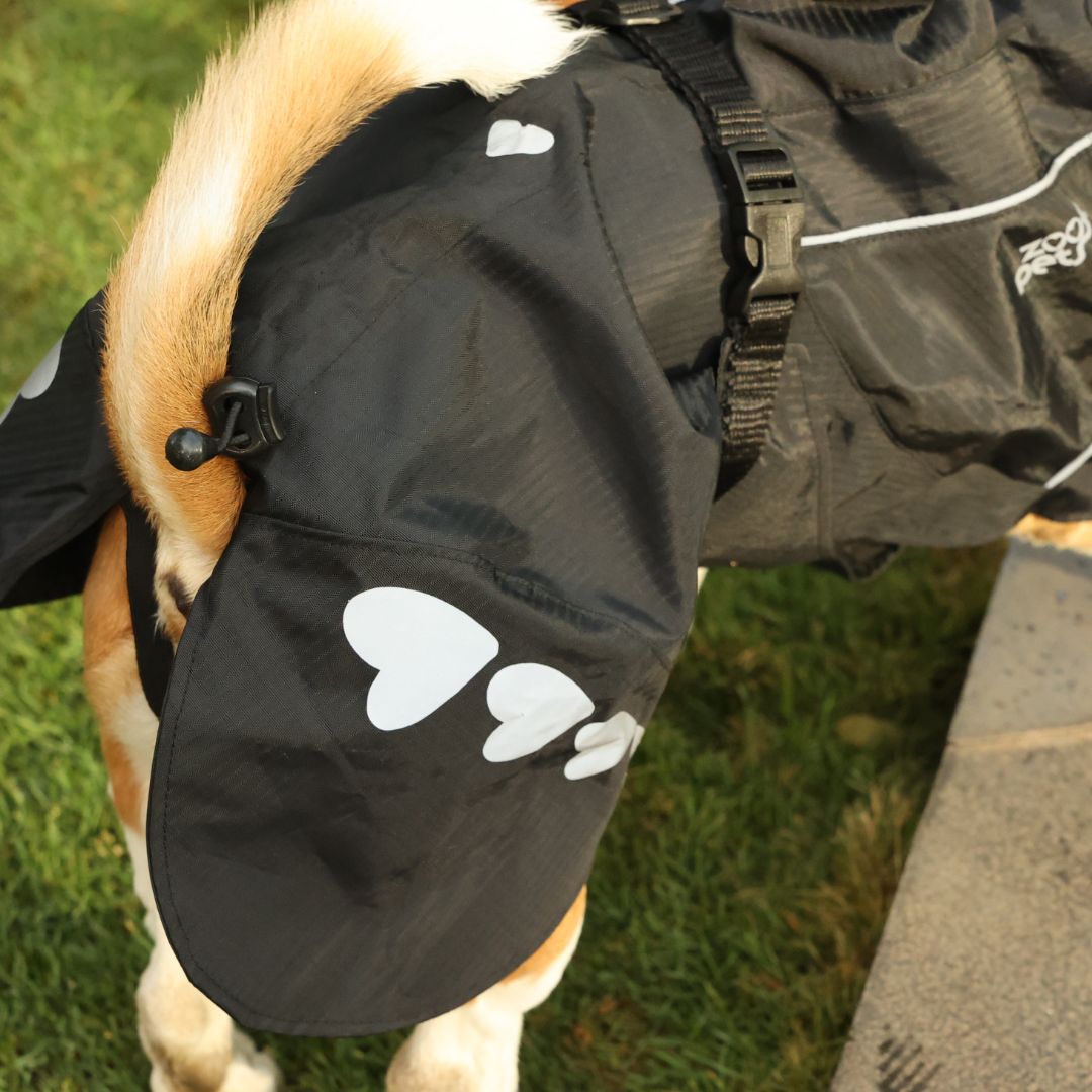 Zoof Dog Raincoat - Lil Monster