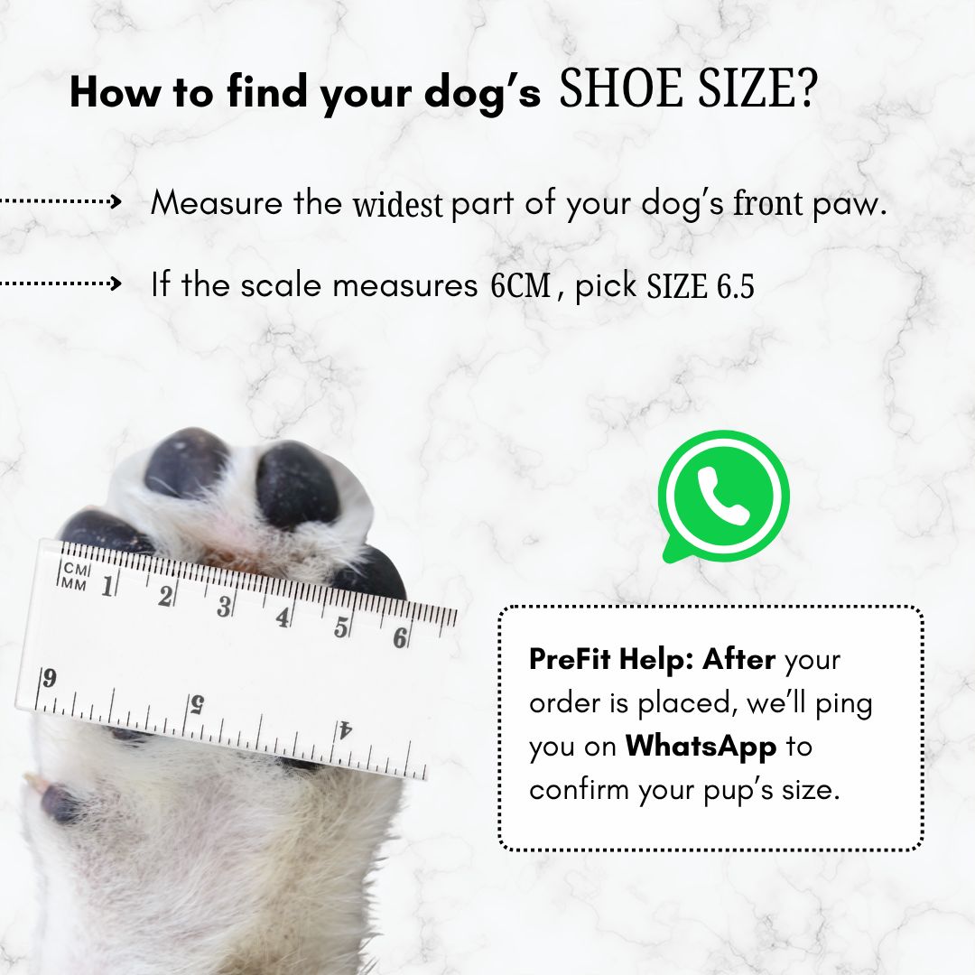 Zoof Grips - Anti Slip Indoor Shoes for Senior Dogs