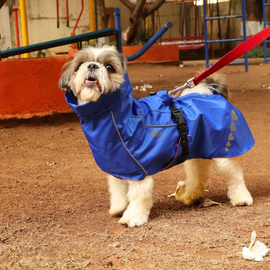 Zoof Dog Reversible Raincoat - Firecracker