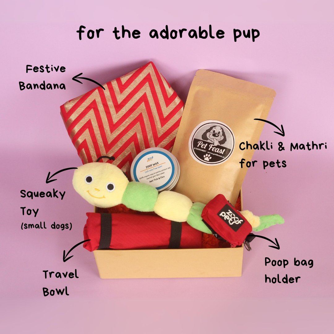 diwali gift for dogs