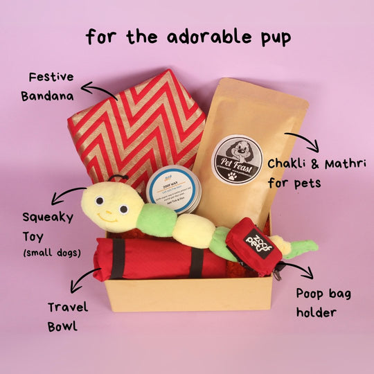diwali gift for dogs