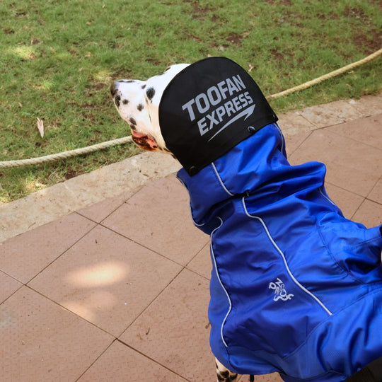 Zoof Dog Raincoat - Toofan Express