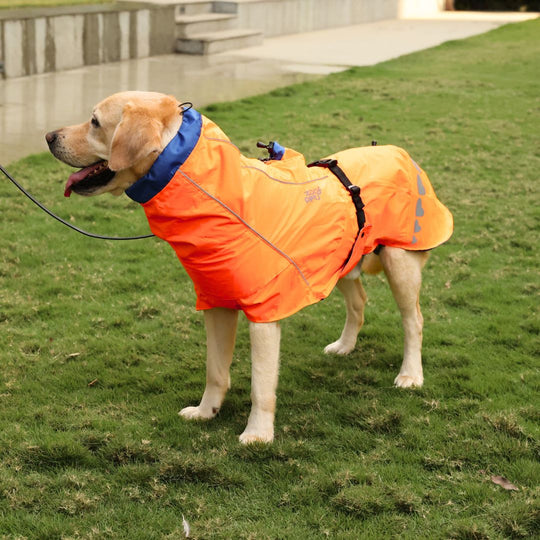Zoof Dog Reversible Raincoat - Firecracker