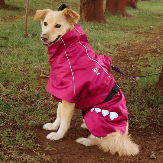 Zoof Dog Raincoat - Nawab Baby