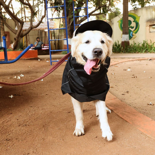 Zoof Dog Raincoat - Lil Monster