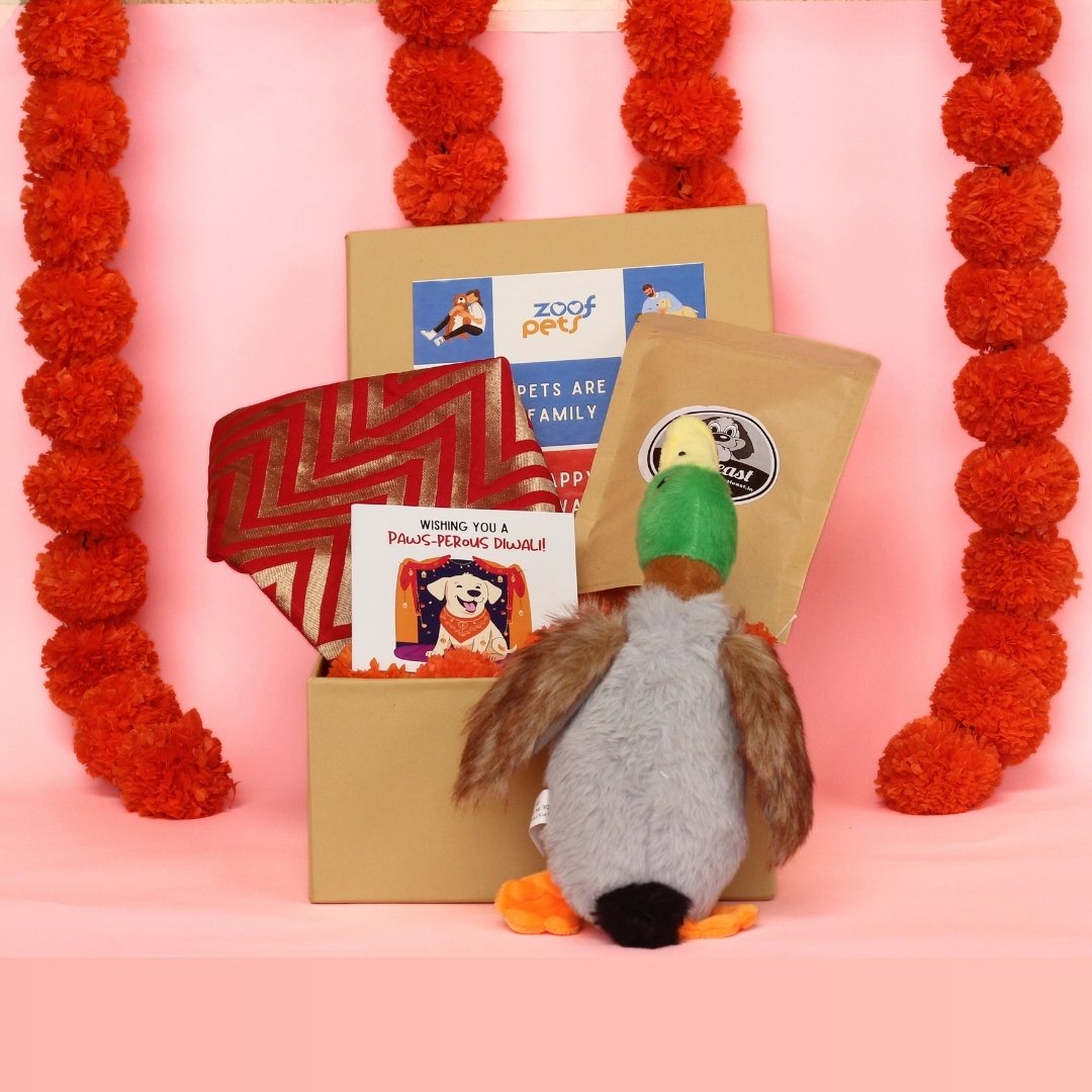 diwali gift hamper for dogs