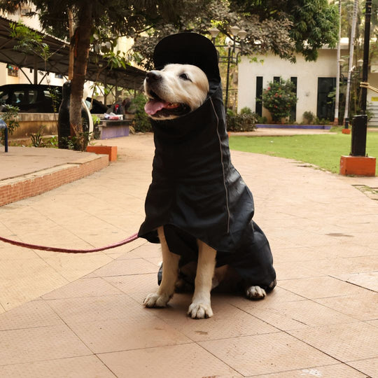 Zoof Dog Raincoat - Lil Monster