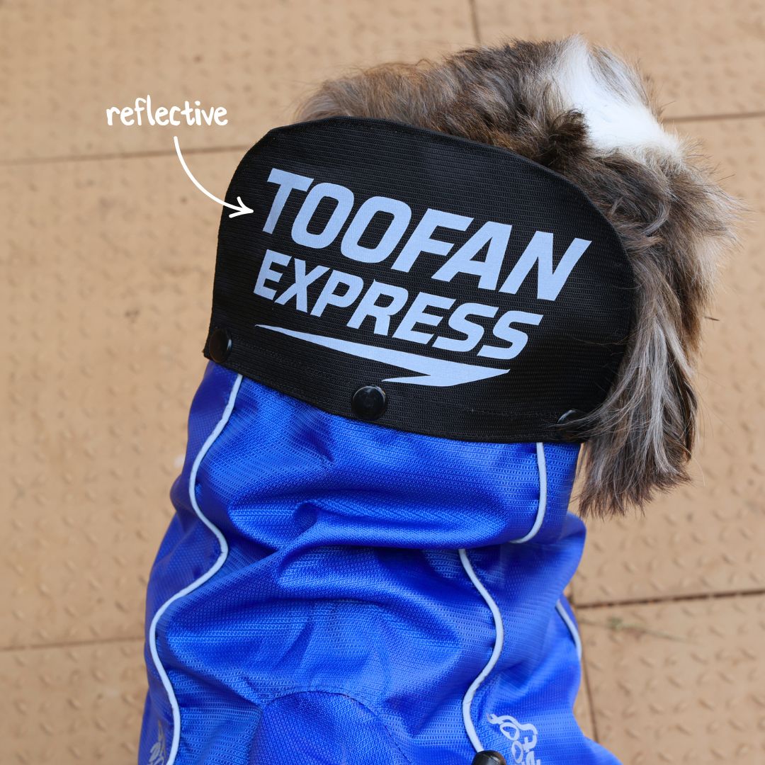 Zoof Dog Raincoat - Toofan Express