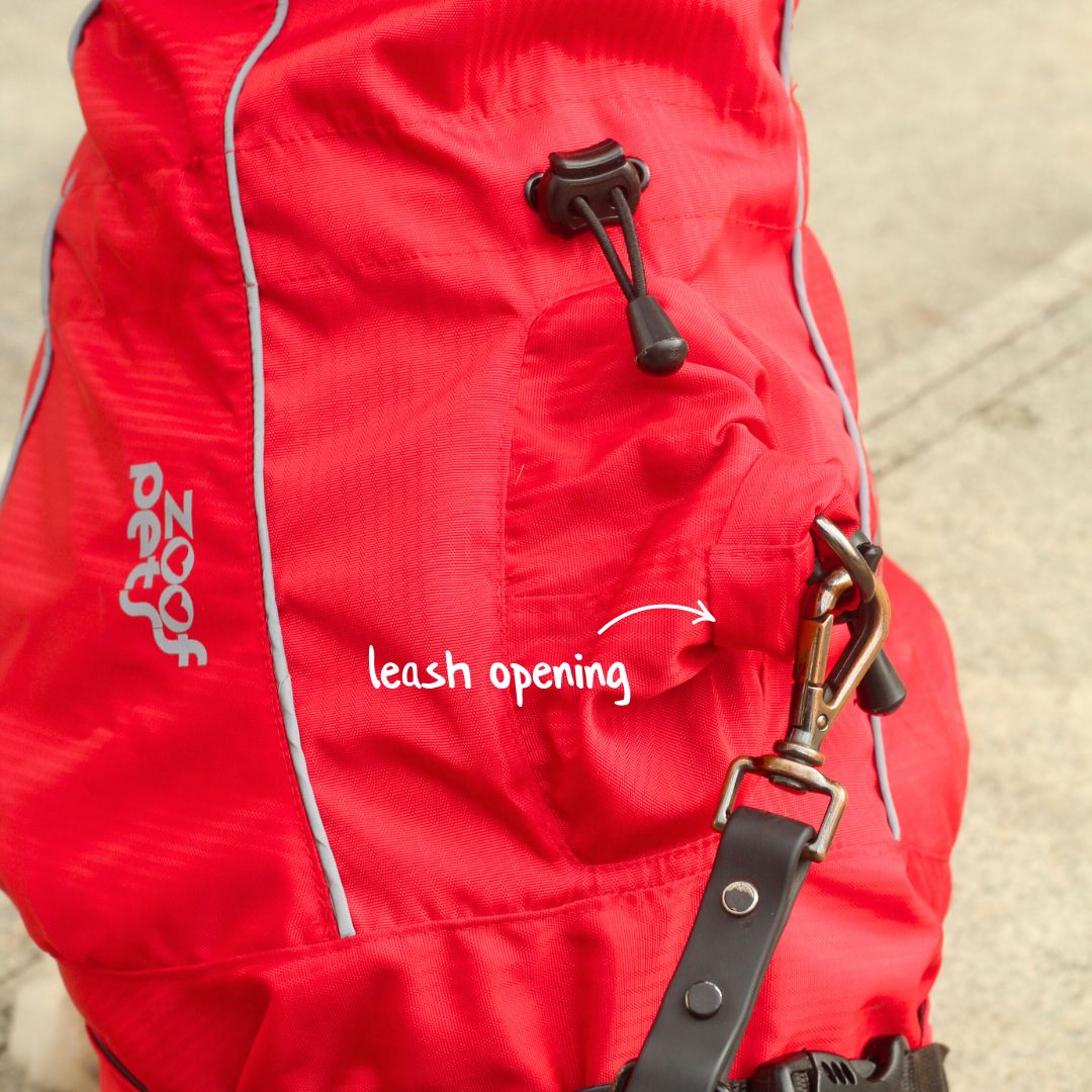Zoof Dog Raincoat - Red Rascal
